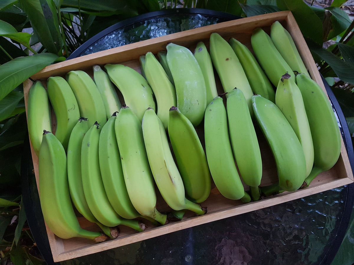 Bananas/lady finger Spray free Tablelands To Tabletop