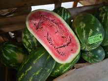 Load image into Gallery viewer, Watermelon/red tiger - seeded - SECONDS READ DESCRIPTION