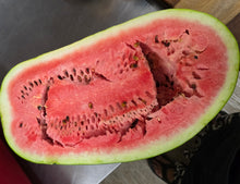 Load image into Gallery viewer, Watermelon/red tiger - seeded - SECONDS READ DESCRIPTION