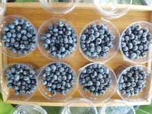 Load image into Gallery viewer, Blueberries SECONDS 1kg