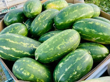 Load image into Gallery viewer, Watermelon/red tiger - seeded - SECONDS READ DESCRIPTION