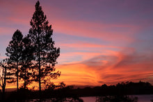 Load image into Gallery viewer, Tea towel microfiber