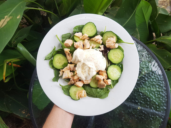 Cucumber & Salmon Salad Keto Friendly