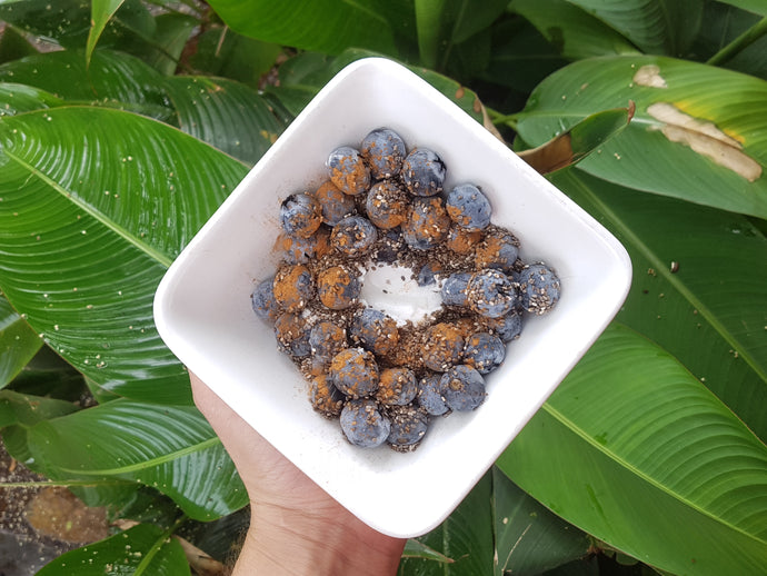 Blueberries & Coconut Yogurt - Keto Friendly