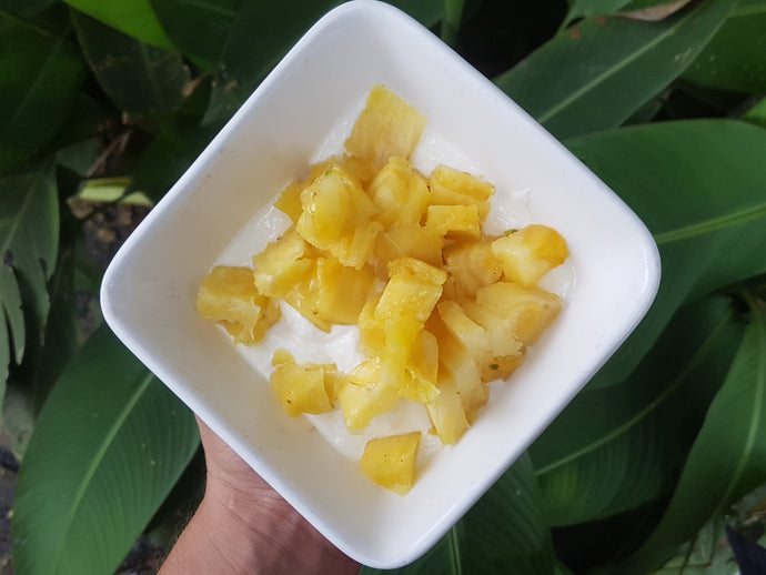 Pineapple & Coconut Yogurt Keto Friendly