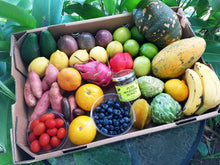 Load image into Gallery viewer, Surprise Fruit &amp; Veg Box (Large 13kg) + Honey &amp; Eggs
