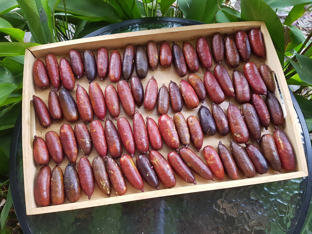 Finger limes/red