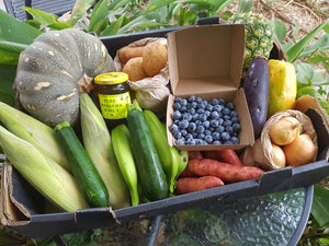 Surprise Fruit & Veg Box (Large 13kg) + Honey & Eggs