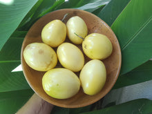 Load image into Gallery viewer, WS Passionfruit/yellow seconds
