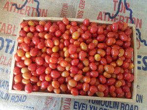 Tomatoes/grape - yellow & red
