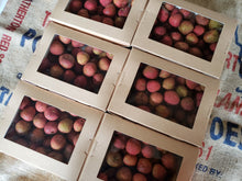 Load image into Gallery viewer, Lychees/Mixed Variety
