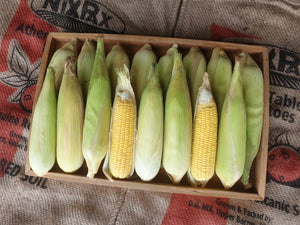 Sweet corn