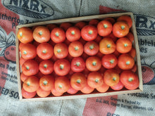 Load image into Gallery viewer, Tomatoes/gourmet
