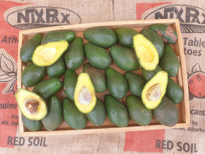 Avocados/shepard