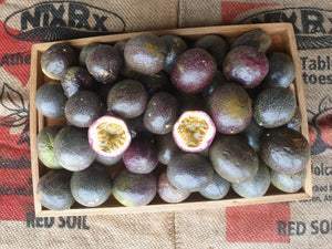 WS Passionfruit/purple seconds