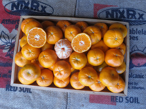 WS Mandarins/seedless