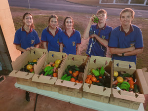CLEARANCE Fruit & Veg 12kg