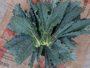 Kale/curly