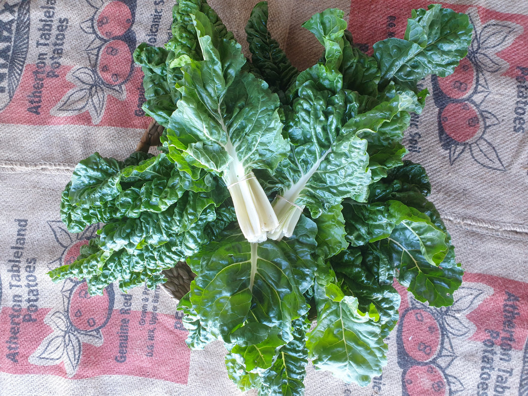 WS Silverbeet