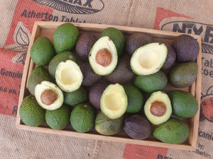 Avocados/carmen (hass cousin)