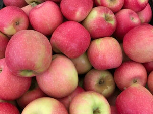 Apples/pink lady (South)