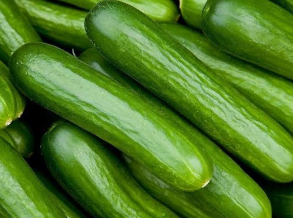 Cucumber/lebanese (South)