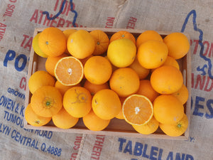 Oranges/navel (South)