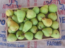 Load image into Gallery viewer, Pears (South)
