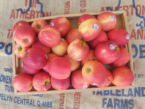 Apples/pink lady (South)