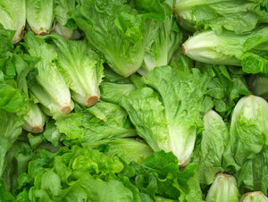 Lettuce/coz (SOUTH)