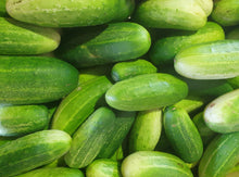 Load image into Gallery viewer, Cucumber
