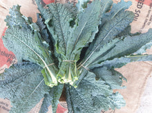 Load image into Gallery viewer, Kale/black tuscan
