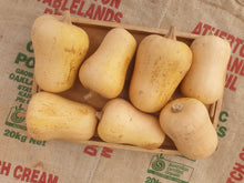 Load image into Gallery viewer, WS Pumpkin/butternut - seconds
