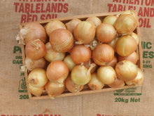 Load image into Gallery viewer, Onions/brown (SOUTH)
