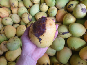 WS Mangoes - KP (Bowen) - SECONDS