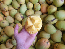 Load image into Gallery viewer, WS Mangoes - KP (Bowen) - SECONDS
