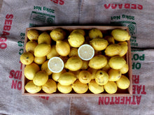 Load image into Gallery viewer, WS Lemons/eureka/seedless - seconds
