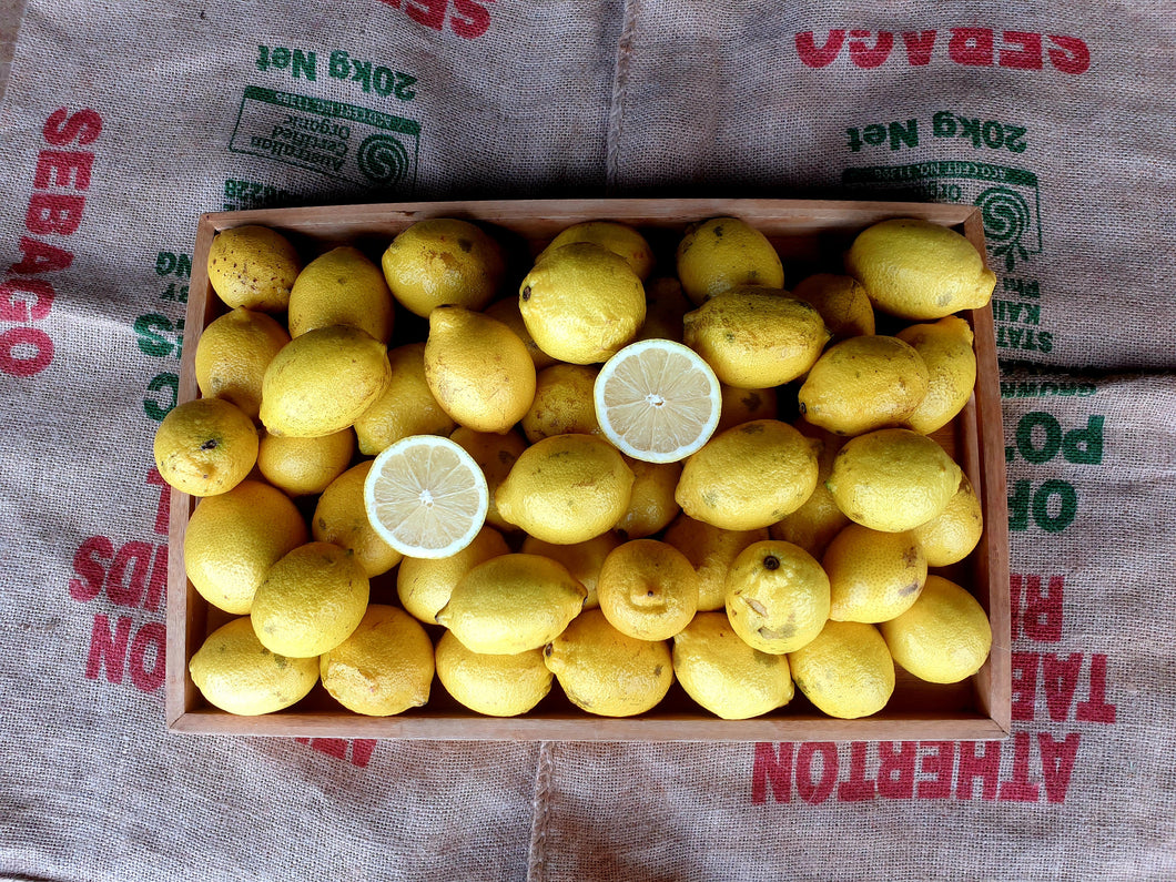 WS Lemons/eureka/seedless - seconds