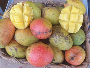 WS Mangoes - KP (Bowen) - SECONDS