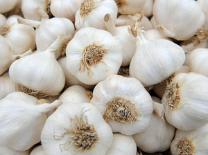 WS Garlic/purple - Spray free