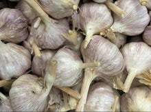 Load image into Gallery viewer, WS Garlic/purple - Spray free
