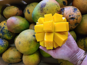 Mangoes/kent