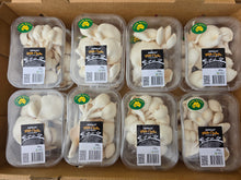 Load image into Gallery viewer, Mushrooms/White Oyster 100g
