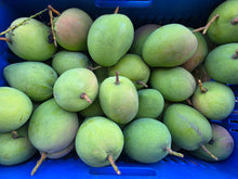 Load image into Gallery viewer, WS Mangoes KP/Bowen
