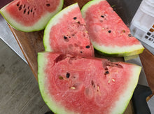 Load image into Gallery viewer, Watermelon/red tiger - seeded - SECONDS READ DESCRIPTION
