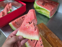 Load image into Gallery viewer, Watermelon/red tiger - seeded - SECONDS READ DESCRIPTION
