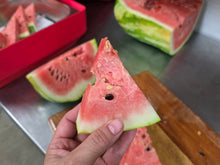 Load image into Gallery viewer, Watermelon/red tiger - seeded - SECONDS READ DESCRIPTION
