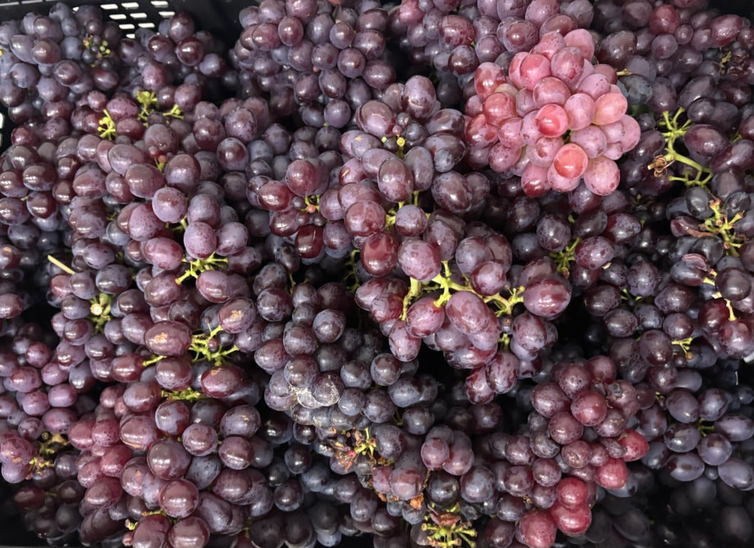 WS Grapes/red seedless