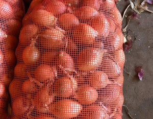 Onions/brown (SOUTH)