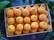 Load image into Gallery viewer, Mandarins
